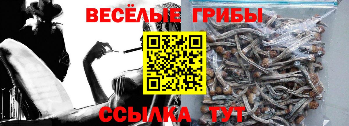 Галлюциногенные грибы мухоморы Богородицк